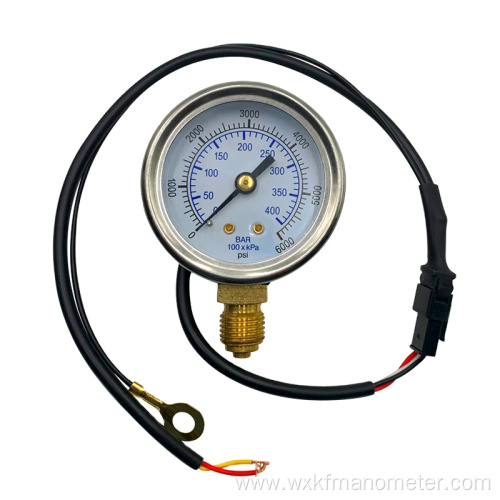 YN60 back connection CNG pressure gauge